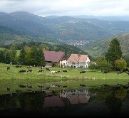 52 Route du Fromage - Auberge avec hébergement Landersen